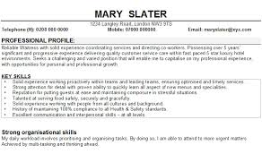 School leaver CV Profile