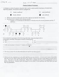 73 Efficient Simple Pedigree Chart Worksheet