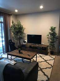 Apartment Living Room Design