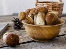 What can replace porcini mushrooms?