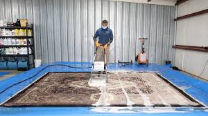 deep cleaning a dirty wool rug on our