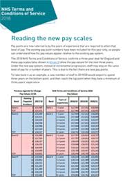 Reading Your Pay Journey Nhs Employers
