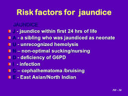 Neonatal Jaundice By Dr Nahed Al Nagger Ppt Video Online