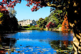 dazzling autumn colours at sheffield