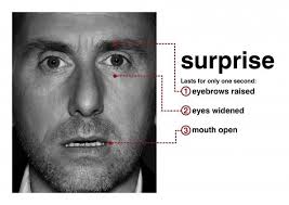 How To Detect Lies Micro Expressions Nick Babich Medium