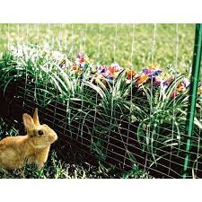 Rabbit Guard Garden Fence Welded Wire