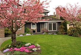 12 simple front yard landscaping ideas