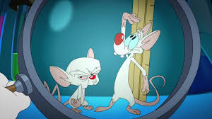 Pinky and the brain try to take over the world. Pinky And The Brain Segment Animaniacs Wiki Fandom