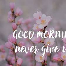 See here the best collection of good morning quotes, sms wishes, whatsapp messages with hd images. Good Morning Quotes In English This Image Has A Beautiful Background With Pretty Flowers Mirchistatus