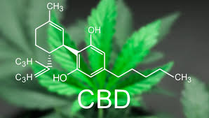 cbd ap can cbd oil result in weight gain or loss