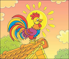 Colorful Rooster Singing On A Tile Roof