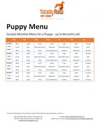 Puppy Menu For Website Dog Food Delivery Feeding Puppy