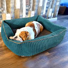 Medium sumptuous & comfortable dog beds, handmade in uk with premium washable fabrics & a soft breathable filling. Bolster Sided Medium Dog Bed Rucomfy