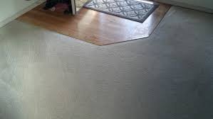 premier carpet cleaning reviews