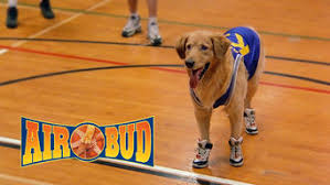 Air bud 1997 watch online in hd on 123movies. Is Air Bud 1997 On Netflix Egypt