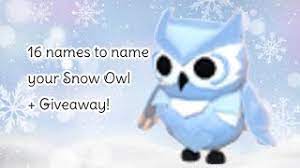 16 names to name your snow owl in adopt