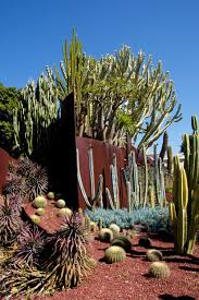 Composition Of Cactus A Traveling