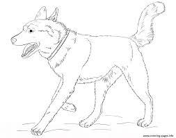 It runs very fast, barks loudly and attacks the strangers. Husky Dog Realistic Coloring Pages Printable