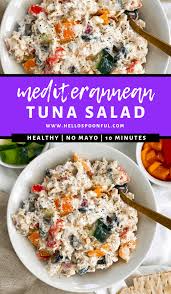 no mayo healthy terranean tuna