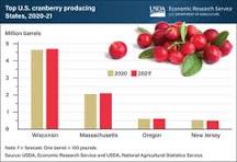 What state produces the most cranberries?