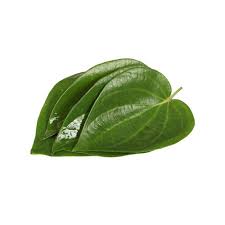 paan leaves e centre