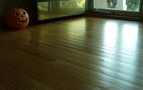 Wood Floor Cupping