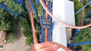 montu roller coasters at busch gardens