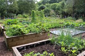 guide to permaculture gardens