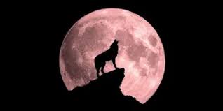 Full moon in july 2021 will be a buck moon, and it might look orange today 8:27 am the july full moon, commonly nicknamed the buck moon and also known as the thunder moon, will be shining in. Full Moon In July 2021 Buck Moon In Northern Hemisphere Wolf Moon In Southern Hemisphere Physics In My View