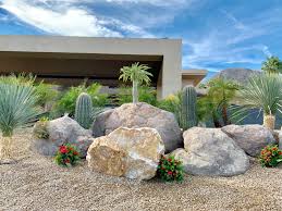 Desert Landscape Design With Boulders