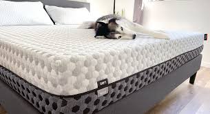 cooling memory foam mattress layla sleep