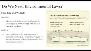 environmental law needs and sources
