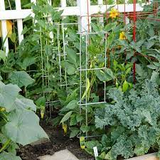 Plant Supports Trellises Stakes