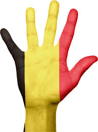 Image result for belgium flag