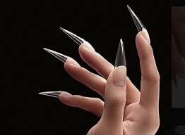 nailtheory llc nail artistry in