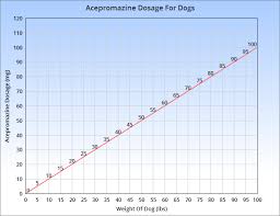 Acepromazine For Dogs Veterinary Place