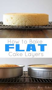 How To Bake Flat Cake Layers In 2020 Bake Flat Cakes Flat