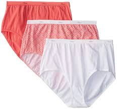 Hanes Womens Cool Comfort Cotton Brief Panties