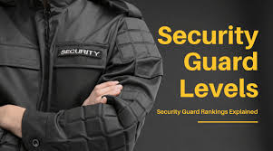 Firearm instructors, security managers, practicing attorneys and other regional experts from relevant public safety & nonprofit organizations. Understanding Security Guard Levels Security Guard Ranks Security Guard Training Central