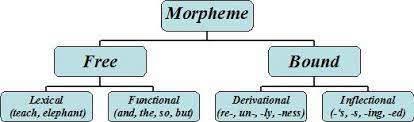 Prepositions and conjunctions are grammatical morphemes. Morphemes In English