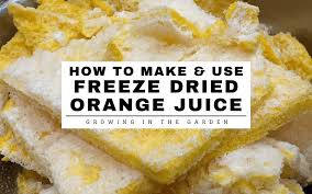 freeze dried orange juice