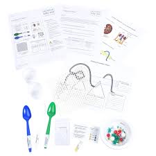 A nephron is a microscopic structural and functional unit of the kidney. A Kidney Problem Science Take Out Hands On Learning Kits