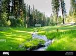 Golf at Terrace Lakes in Garden Valley Idaho Stock Photo - Alamy