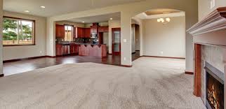 carpet cleaning services georgetown wa