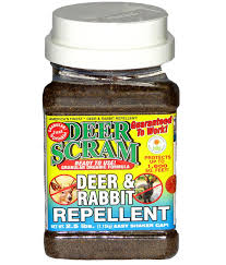 natural rabbit repellent natural deer