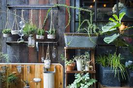Indoor Vertical Gardening Convenient