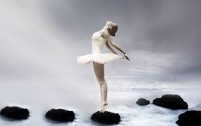 ballerina ballet dancer dancer grazie