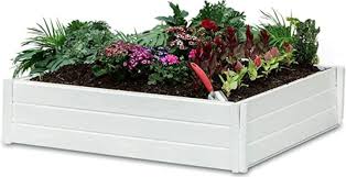 Raised Garden Beds To Grow Plants