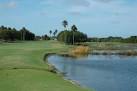 Serenoa Golf Club in Sarasota: Not your typical Florida course
