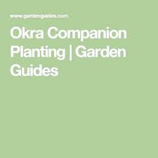 Okra Companion Plants Oncallvirtualsolutions Online